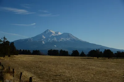 DSC_2992 (Large).JPG